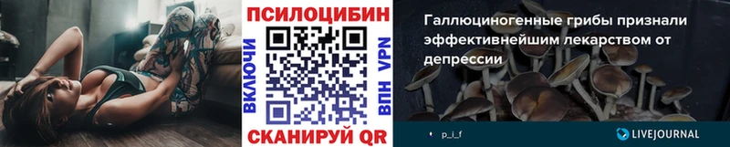 Галлюциногенные грибы мицелий  Подольск 