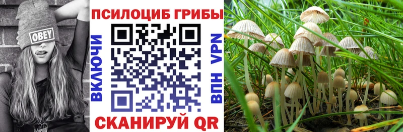 Псилоцибиновые грибы мухоморы Подольск